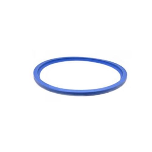 Reverberi Door  Gasket