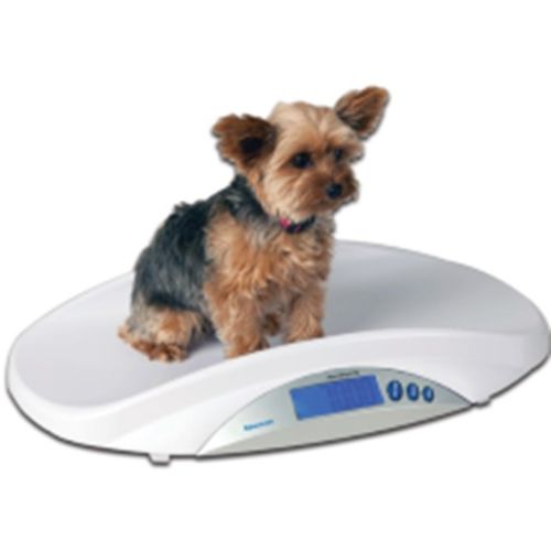 Brecknell MS15 Medical Veterinary Scale - Small Animal 